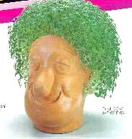 Product of the Day: Chia Head